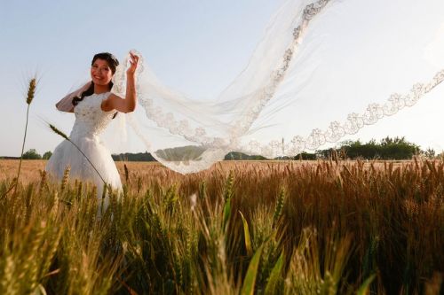 麦田婚纱图片_咸阳麦田婚纱的电话