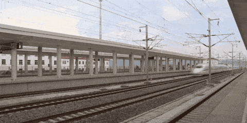 timg.gif