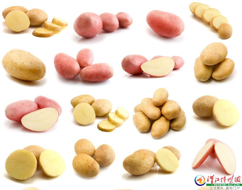 现在能种什么豆子 20111130103814827.jpg